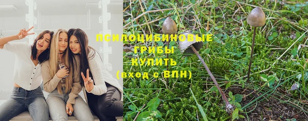 ПСИЛОЦИБИНОВЫЕ ГРИБЫ Абинск