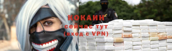 тгк Абаза